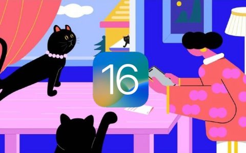 iphone怎么批量编辑照片？ios16快速批量编辑照片操作教程