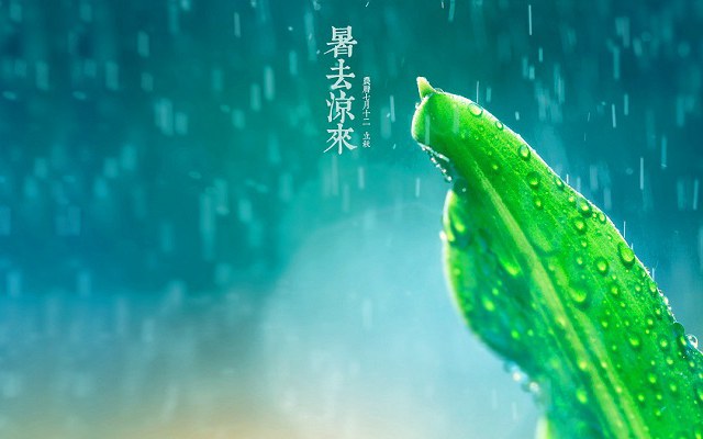 暑去凉来!10张立秋节气手机壁纸高清无水印下载