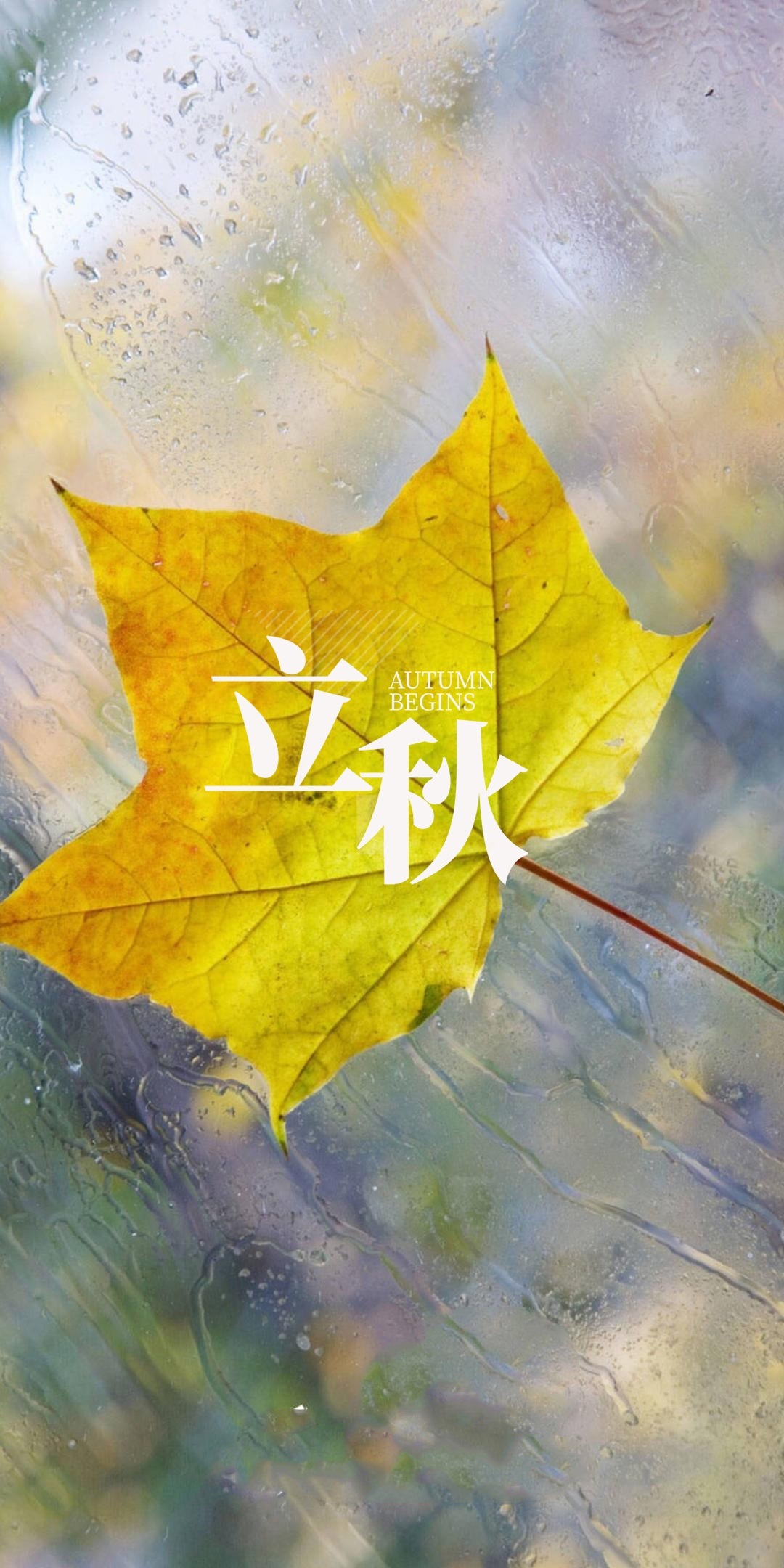 暑去凉来!10张立秋节气手机壁纸高清无水印下载