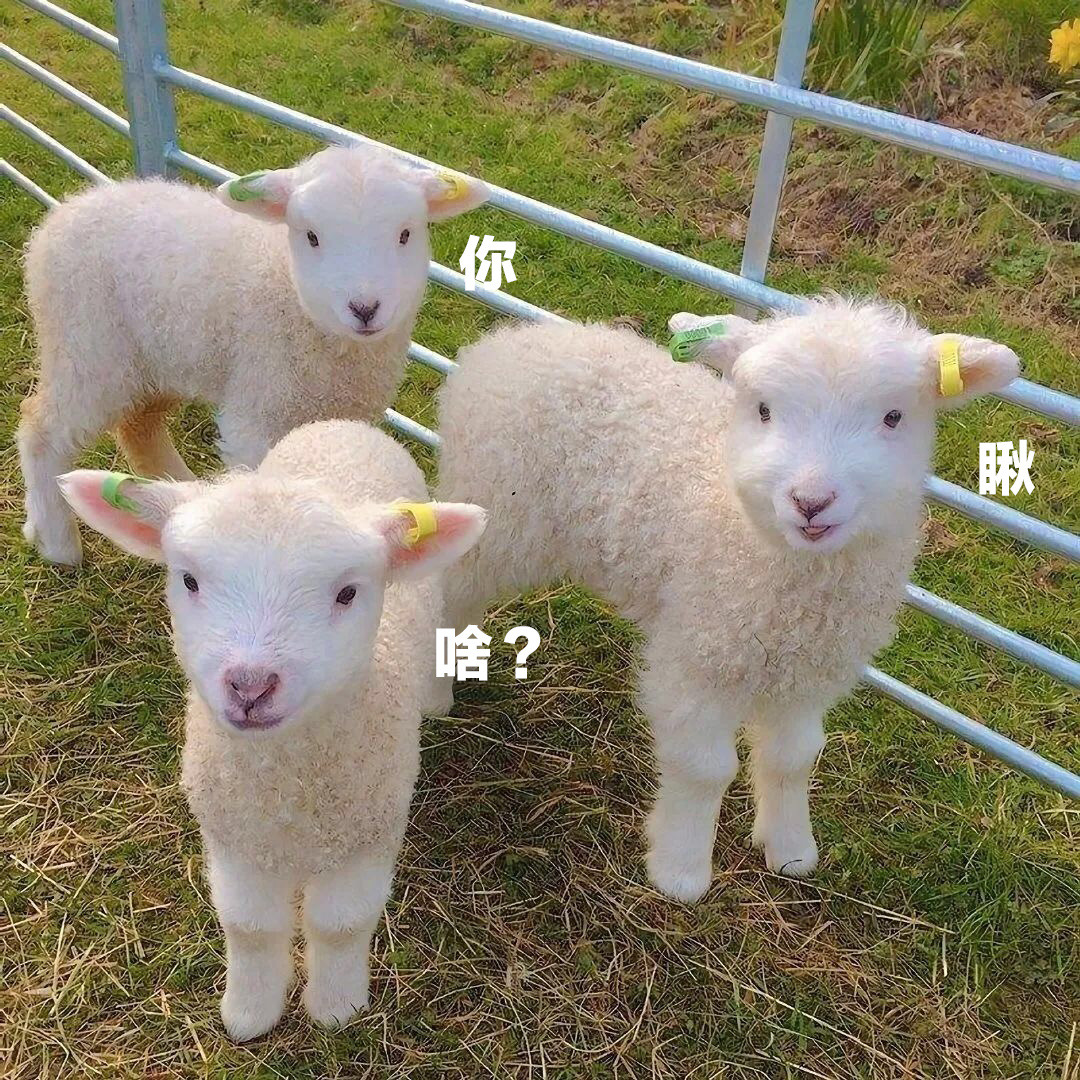 朋友圈封面:没有屏蔽任何人,只是不想更新了!