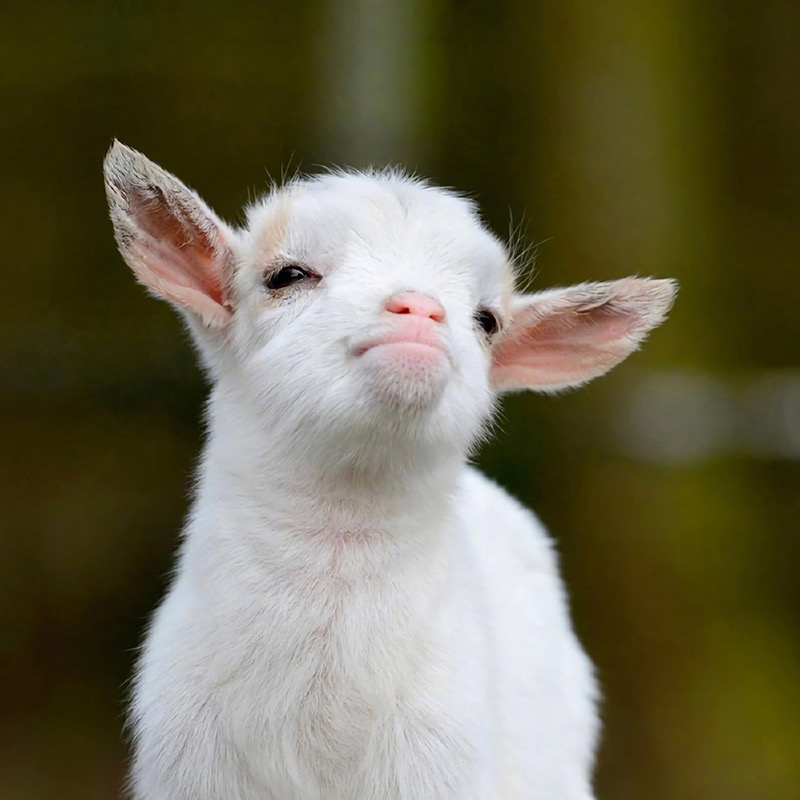 朋友圈封面:没有屏蔽任何人,只是不想更新了!